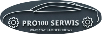 Pro100Servise